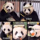 통통닭;커피