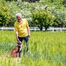 천지목장 이미지