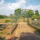 (주)나비원 이미지