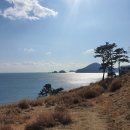 도장포어촌체험마을 이미지