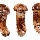 최비뇨기과의원 이미지