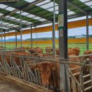 동중농장 이미지