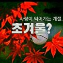 간대요 글쎄 ~이태호 이미지