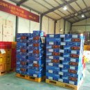 해뜨는농장 이미지