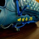삼성BMC Daum카페