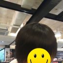 라라코스트(북항점) 이미지