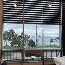 코스테펜션 | 강아지와 함께한 강원도 강릉 / 영월 여행 (애견동반) - 대관령 전망대, 코스테 펜션, 순포 해변