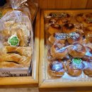 논치빵집