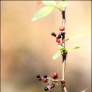 개산초등학교 이미지