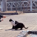 CU울진점 | [울진] 덕구 온천 콘도 및 스파월드 후기 (가격,준비물)