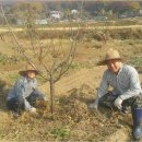 김명수 농장 이미지