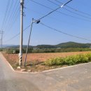 오두리농장 이미지