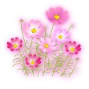 뽄쟁이 - 순천시 연향상가1길 4 | 뽄쟁이
