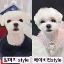 예쁘개해줄개 이미지