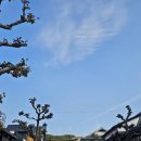 황소미가 | 일본 가족여행 후쿠오카 2박 3일 코스 정리 다자이후 텐만궁