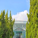 구조라해수욕장(입구) | 거제 구조라 카페 외도널서리 솔직후기 거제도 여행 추천 카페