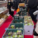 화천정보산업고등학교 | 2026 화천 산천어축제 기간 운영시간 입장료 예매 예약방법 주차장 얼음낚시 후기