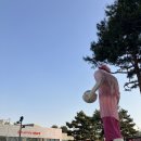 워낭축산 네이버블로그