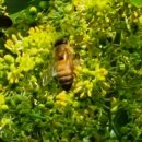 불태산농장 이미지