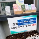 드라마촬영장 | 순천 드라마 촬영장 총정리 후기