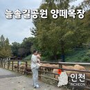 늘솔길근린공원(4호) 공원화장실 | 인천 양떼목장 늘솔길공원 주차장 시간 먹이주기 팁