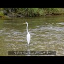 오날다 필름