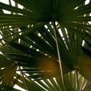 에스워시 이미지