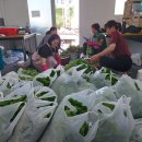 예래동-4 이미지