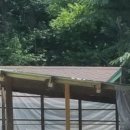 양평목장 이미지