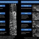 Personal Training GYM 이미지
