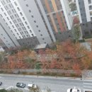 경동나비엔군산대리점 이미지