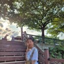 비비큐(BBQ) 태권도원점 이미지