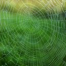 민 태양광발전소 이미지