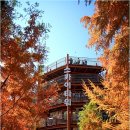 스카이타워 이미지