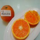 키요민