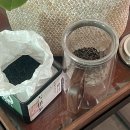 DNJ | 당뇨에 좋은 차 추천 종류 혈당관리로 직접 먹어본 후기