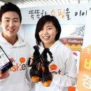 SK콜렉션 이미지