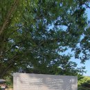 도동경로당 이미지