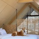 반스힐리조트 이미지