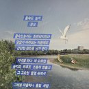 을숙도 늪지 이미지