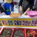 명희네 만세회센타