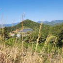 사리골농장 이미지