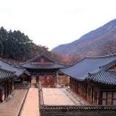 동학사 이미지