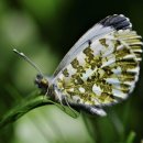파워블로그와 유튜브 크리에이터 이미지