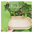 콩테이너 이미지