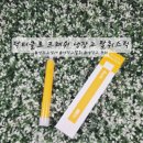 해진유통 | 닥터클로 프레쉬 냉장고 탈취스틱 4ml 냉장고 냄새 냉장고 탈취 냉장고 관리