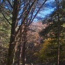 홍천농장 | 코레일 관광 2편 :로컬로 홍천 가을여행 당일치기 기차여행 후기