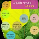 [강좌] ＜수경재배 기초과정＞ - 성북수경재배네트워크 이미지