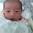 용인대 대호 태권도 이미지