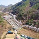 산꽃벚꽃마을 오토캠핑장 이미지